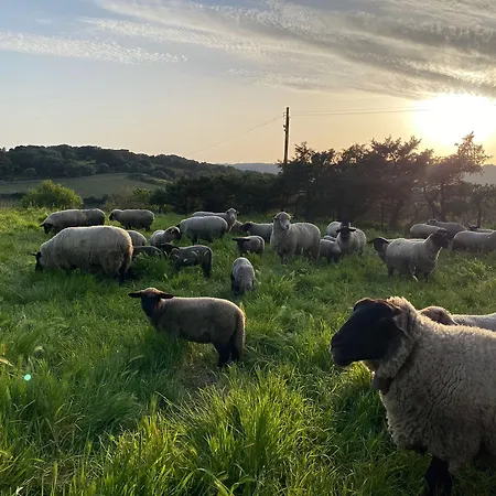Hotel Lu Branu Arzachena