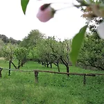 Lu Branu Hotel *