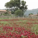 Hotel Lu Branu