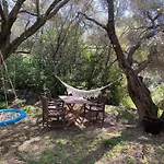 Hotel Lu Branu