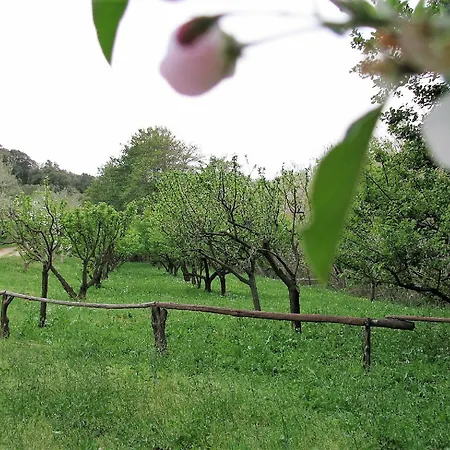 Villa Lu Branu Arzachena