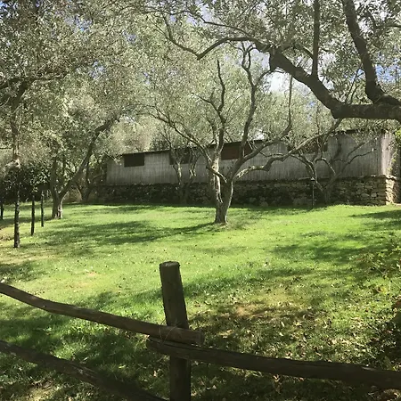 Villa Lu Branu Arzachena